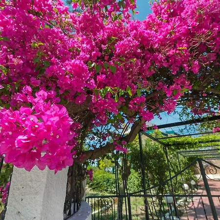 Villas Marianna *